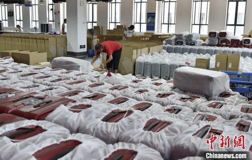 特色产业集群加速开放 湖南蓝山打造 中国皮具箱包创新之都